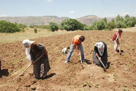 Sakık'ın Köyü 17 Yıl Sonra Yeniden Yerleşime Açıldı