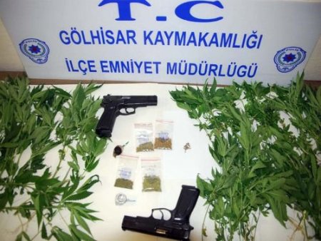 Saksıda Hint Keneviri Yetiştiren 3 Kişi Gözaltına Alındı