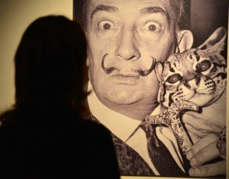 'Salvador Dali İzmir'de' sergisi 2 Mart'ta sona erecek