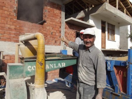 Saman fiyatı buğday fiyatını geçti