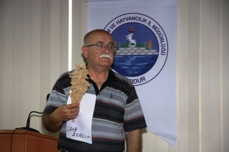 Saman fiyatları 3'e katlandı, yetiştirici sıkıntıda