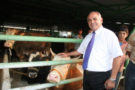 Saman fiyatları arttı, kurbanlıklar pazara indirimle geldi (Özel)