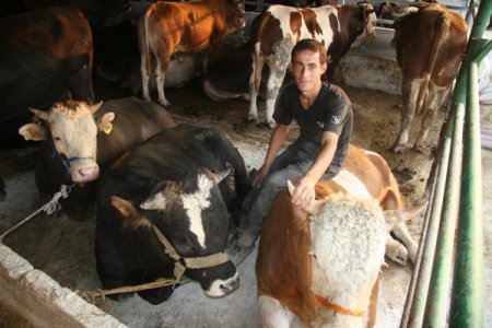 Saman fiyatları arttı, kurbanlıklar pazara indirimle geldi (Özel)