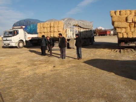 Saman ihtiyacı çok, alan yok