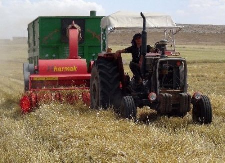 Saman kıymete bindi, çiftçi anız yakmaktan vazgeçti