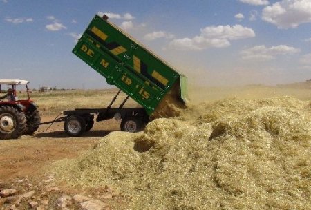 Saman kıymete bindi, çiftçi anız yakmaktan vazgeçti