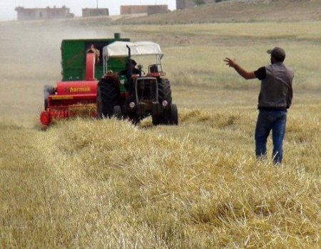 Saman kıymete bindi, çiftçi anız yakmaktan vazgeçti