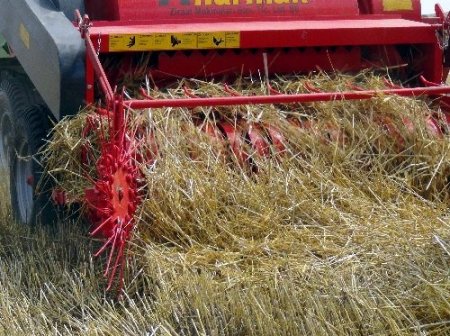 Saman kıymete bindi, çiftçi anız yakmaktan vazgeçti