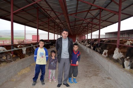 Saman sıkıntısı çeken besiciler hayvanlarını patatesle doyuruyor