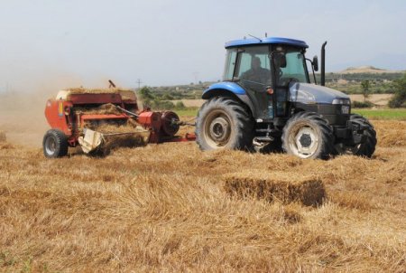 Saman ve yem fiyatları arttı, çiftçi anız yakmaktan vazgeçti