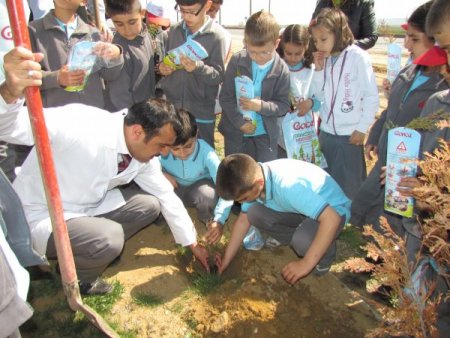 Samanyolu Koleji Öğrencileri, Okul Bahçesine Fidan Dikti