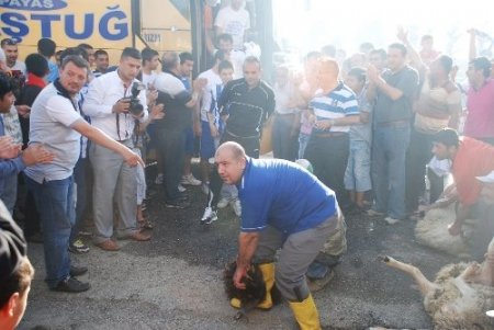 Şampiyona coşkulu karşılama