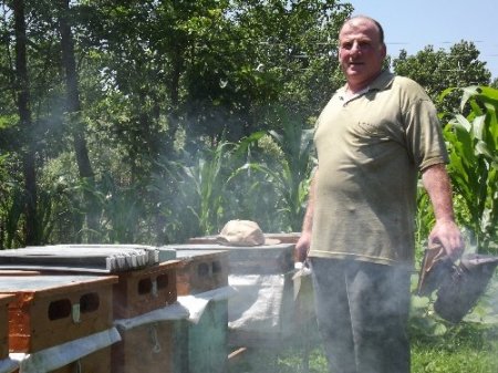 Samsun Arıcılar Birliği: Ucuz bal alayım derken sağlığınızdan olmayın