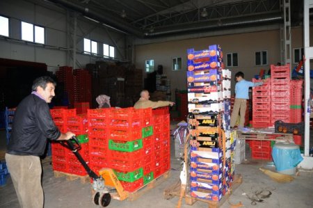 Samsun Gıda Kargo’nun 5 kıtada ulaştığı ülke sayısı 200’ü aştı