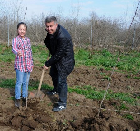 Samsun Gıda Yönetim Kurulu Başkanı Öztürk: Meyvecilik karlı bir yatırım