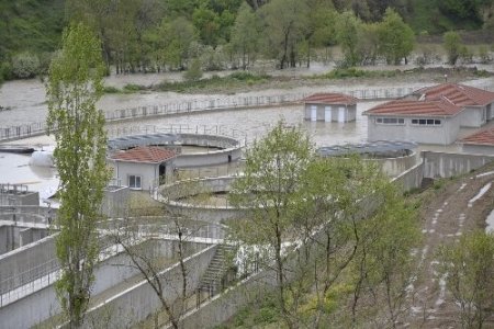 Samsun’da arıtma tesisini su bastı, Ladik’te 6 koyun telef oldu