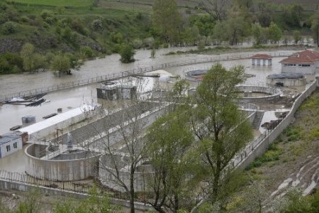 Samsun’da arıtma tesisini su bastı, Ladik’te 6 koyun telef oldu