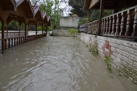 Samsun’da arıtma tesisini su bastı, Ladik’te 6 koyun telef oldu