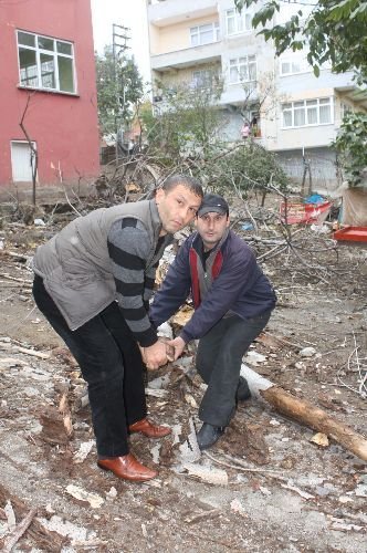 Samsun'da Etkili Olan Lodos, Hayatı Olumsuz Etkiliyor