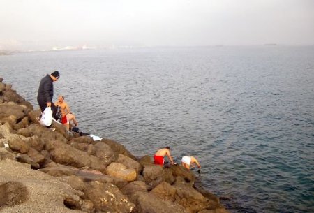 Samsun'da Meyveler Çiçek Açtı, Yaşlılar Denize Akın Etti