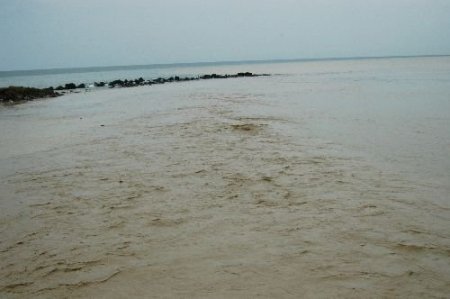 Samsun'da Şiddetli Yağıştan Oluşan Sel Suları Denizin Rengini Değiştirdi