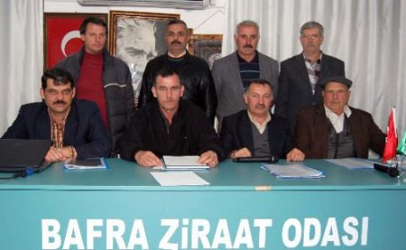 "samsun'da Tütüncülük Altın Yıllarına Yeniden Dönecek"