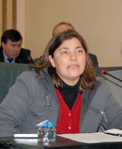 Samsun'un kırsalındaki kültür varlıkları definecilerin hedefinde