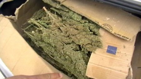 Şanlıurfa'da 22 kilogram esrar ele geçirildi, 1 kişi tutuklandı