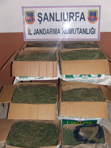 Şanlıurfa'da 89 Kilogram Kubar Esrar Ele Geçirildi
