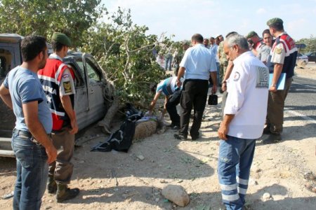 Şanlıurfa'da Birecik-Halfeti yolunda kaza: 1 ölü, 9 yaralı