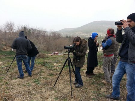 Şanlıurfa’da kuş sayımı