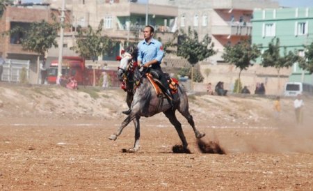 Şanlıurfa’da nefes kesen cirit şovu