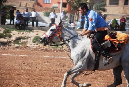 Şanlıurfa’da nefes kesen cirit şovu