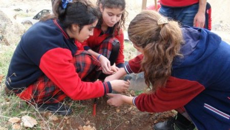 Şanlıurfa'da öğrenciler fidanları toprakla buluşturdu