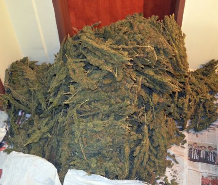 Şanlıurfa'da uyuşturucu operasyonu