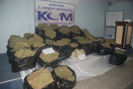 Şanlıurfa'da yarım ton esrar ele geçirildi