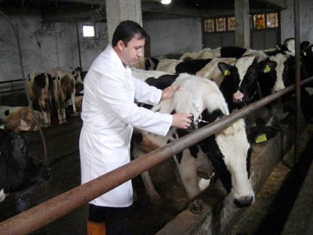 Şap aşısı yaptırmayana cezai var