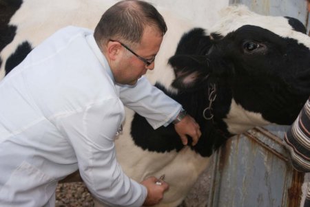 Şap aşısı yaptırmayana cezai var