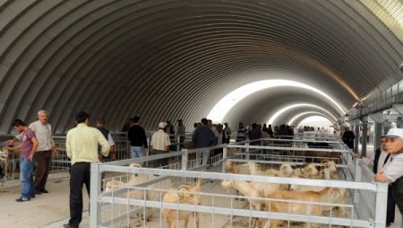 Şap Sebebiyle Kapatılan Balıkesir Hayvan Pazarı 6 Ağustos'ta Açılıyor