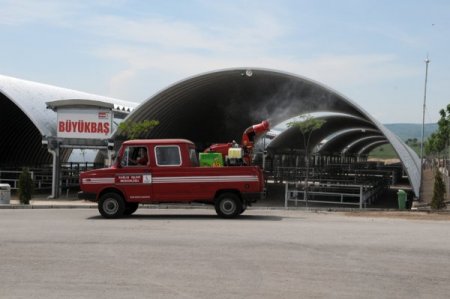 Şap Sebebiyle Kapatılan Balıkesir Hayvan Pazarı İlaçlandı