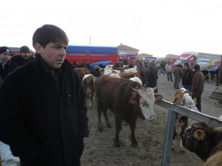 Şap Tehlikesi Olmayan Develi Hayvan Pazarı'nda Yoğunluk Yaşanıyor