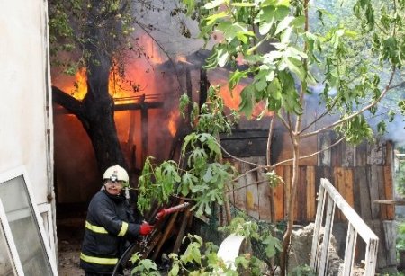 Sapanca'da yangın