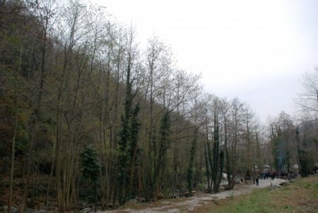 Sapanca'nın ekolojik dengesini bozacak taş ocağına tepkiler devam ediyor