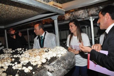 'Şapkalı Mantar' işsiz kadınlara umut oldu