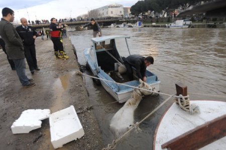Sarıçay'dan su içen at dereye düştü