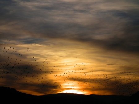 Sarıkamış'ta gün batımı
