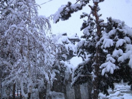 Sarıkamış'ta kar yağışı etkili oluyor