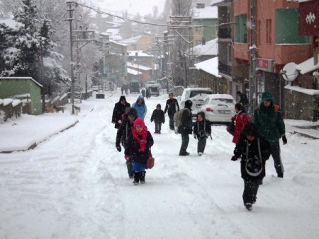 Sarıkamış'ta kar yağışı etkili oluyor