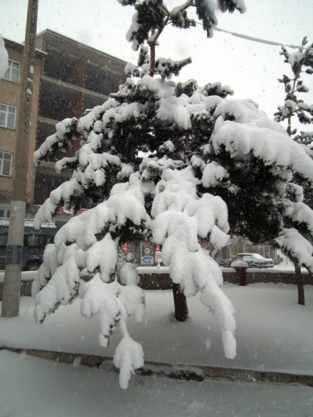 Sarıkamış'ta kar yağışı etkili oluyor