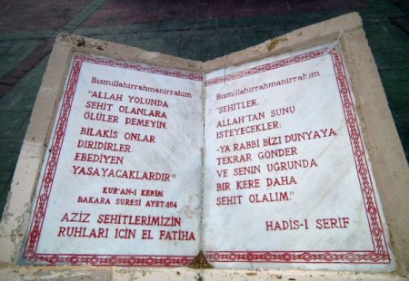 'Sarıkamış’ta şehit sayısının net olmayışında nüfus kayıtlarının rolü büyük'